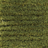 Chandra Royal roy15101 Green Rugs.