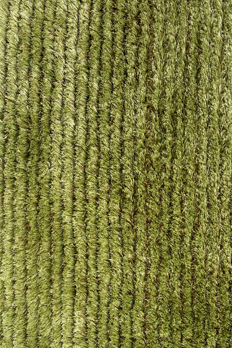 Chandra Royal roy15101 Green Rugs.