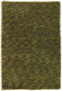 Chandra Sani San5506 Green / Yellow Rugs.