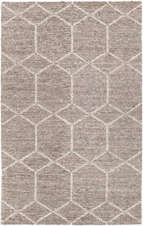 Chandra Slone Slo32801 Taupe Rugs.