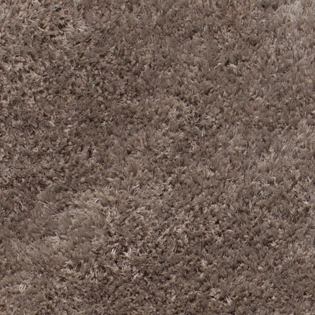 Chandra Sofie Sof-47901 Taupe Rugs.