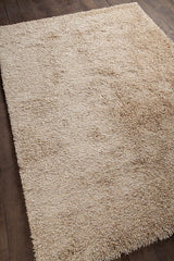 Chandra Sterling ste21800 Tan & Ivory Rugs.