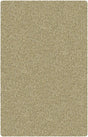 Chandra Strata Str1206 Light Gold Rugs.