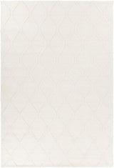 Chandra Sujan Suj-34700 White Rugs.