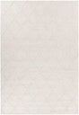 Chandra Sujan Suj-34701 Ivory Rugs.