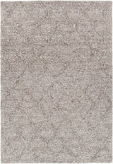 Chandra Sujan Suj-34702 Gray Rugs.