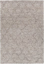 Chandra Sujan Suj-34702 Gray Rugs.