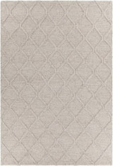 Chandra Sujan Suj-34703 Beige Rugs.