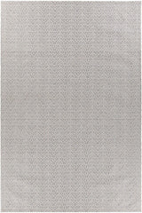 Chandra Tasha Tas37301 Grey Rugs.