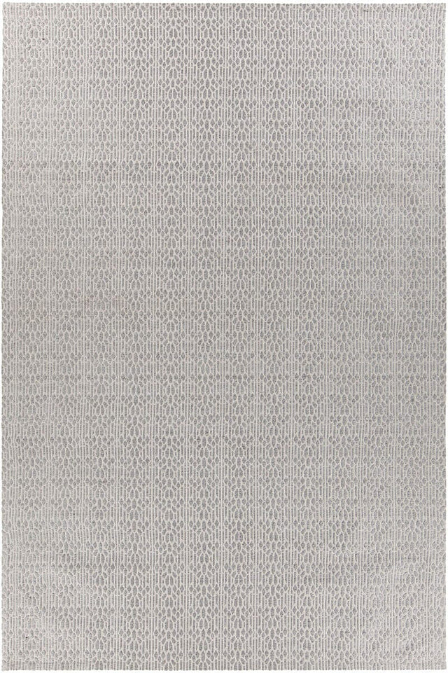 Chandra Tasha Tas37301 Grey Rugs.