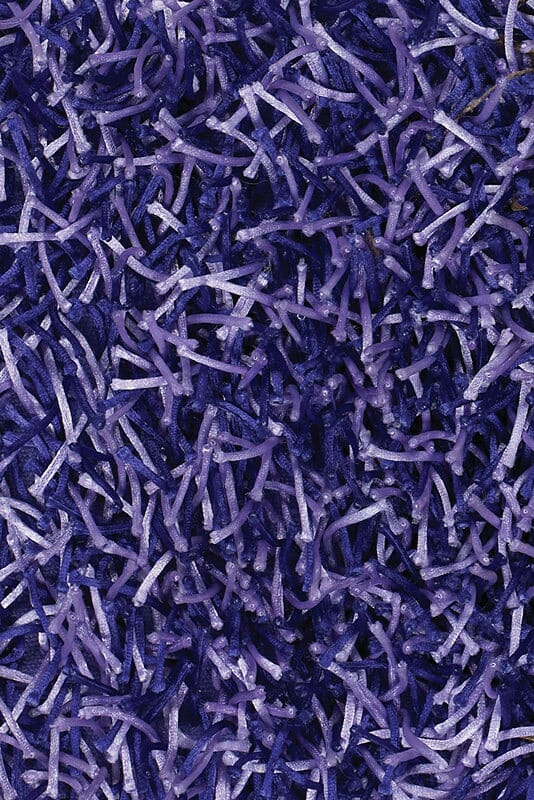 Chandra Zara zar14500 Blue Rugs.