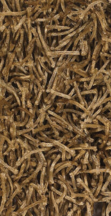 Chandra Zara zar14531 Brown Rugs.