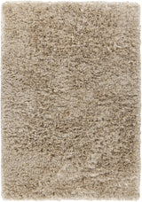 Chandra Diano DIA-29502 Tan rug, flat view