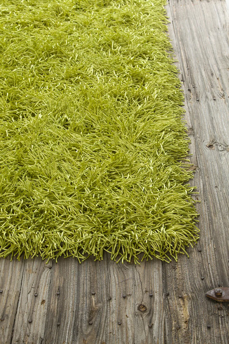 Chandra Duke DUK-20900 Green rug, corner detail