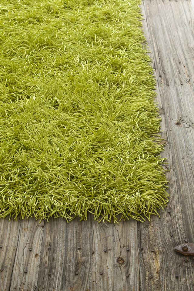 Chandra Duke DUK-20900 Green rug, corner detail