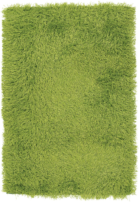 Chandra Duke DUK-20900 Green rug, flat view