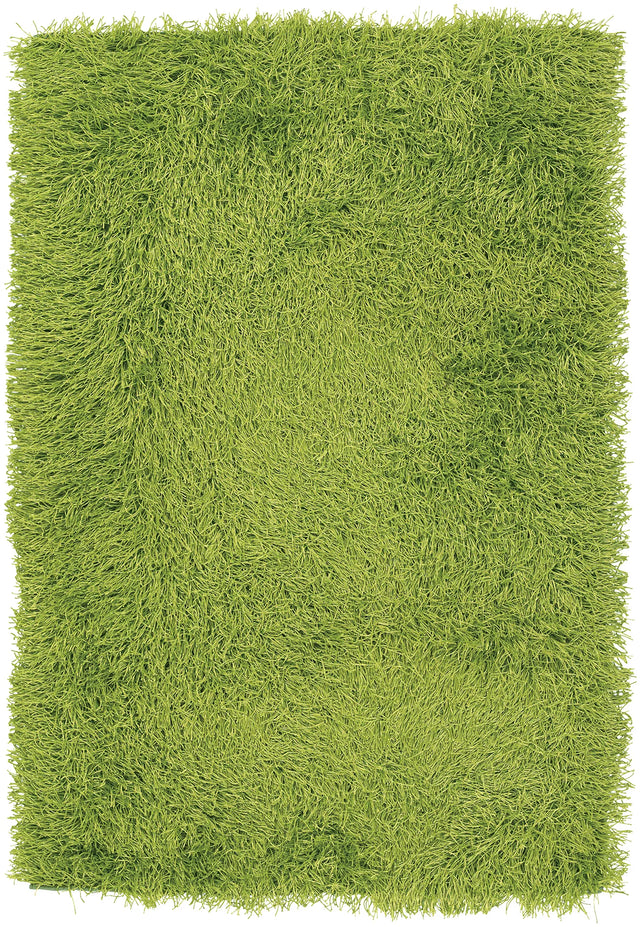 Chandra Duke DUK-20900 Green rug, flat view