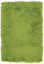 Chandra Duke DUK-20900 Green rug, flat view