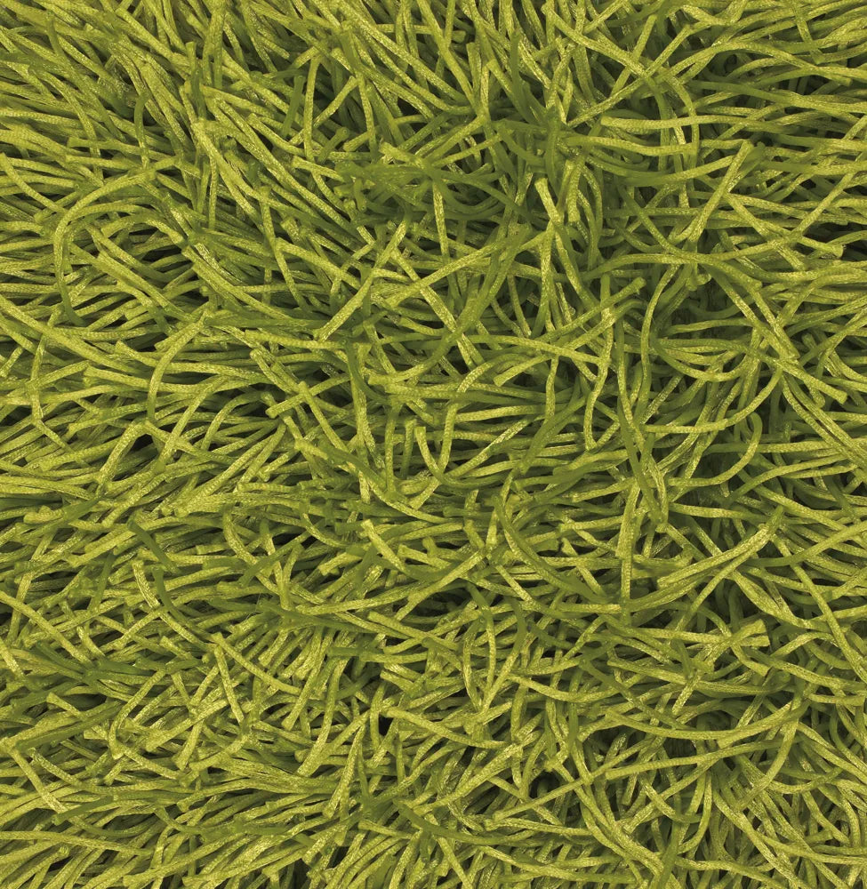 Chandra Duke DUK-20900 Green rug, texture close-up