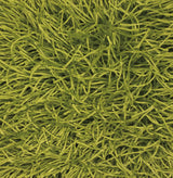 Chandra Duke DUK-20900 Green rug, texture close-up