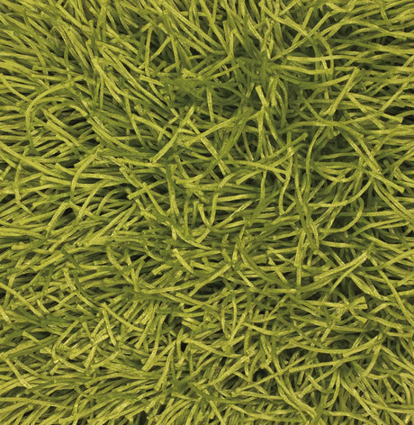 Chandra Duke DUK-20900 Green rug, texture close-up