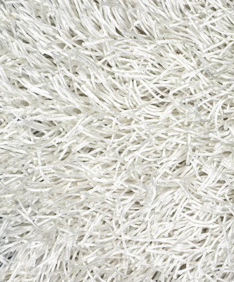 Chandra Duke DUK-20901 White rug, texture close-up