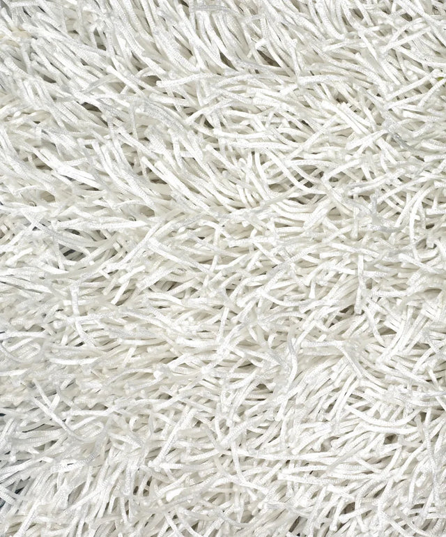 Chandra Duke DUK-20901 White rug, texture close-up