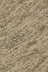 Chandra Galaxy GAL-30602 Beige and Taupe rug, texture close-up