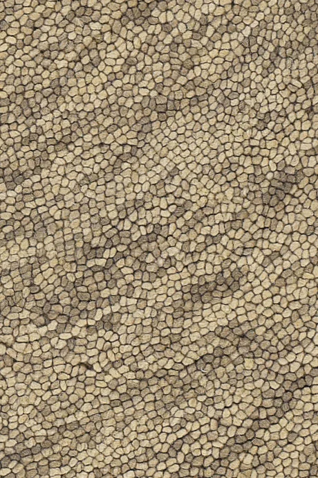 Chandra Galaxy GAL-30602 Beige and Taupe rug, texture close-up