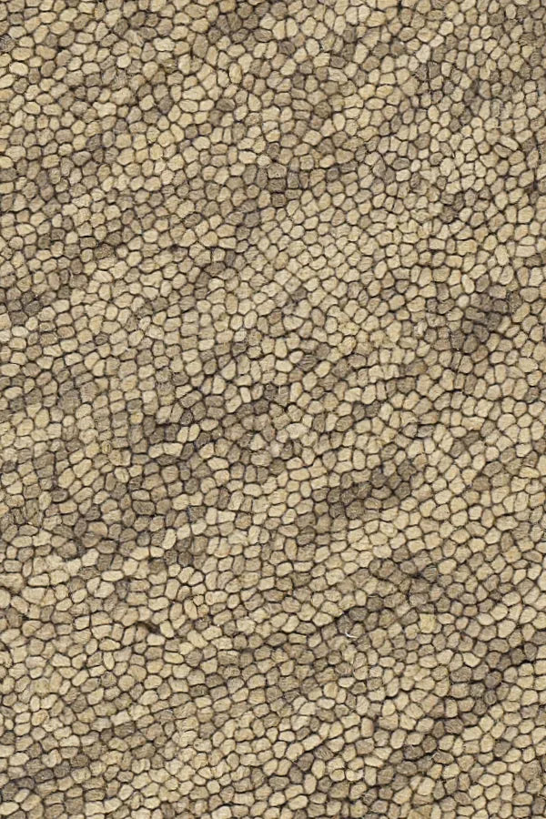 Chandra Galaxy GAL-30602 Beige and Taupe rug, texture close-up