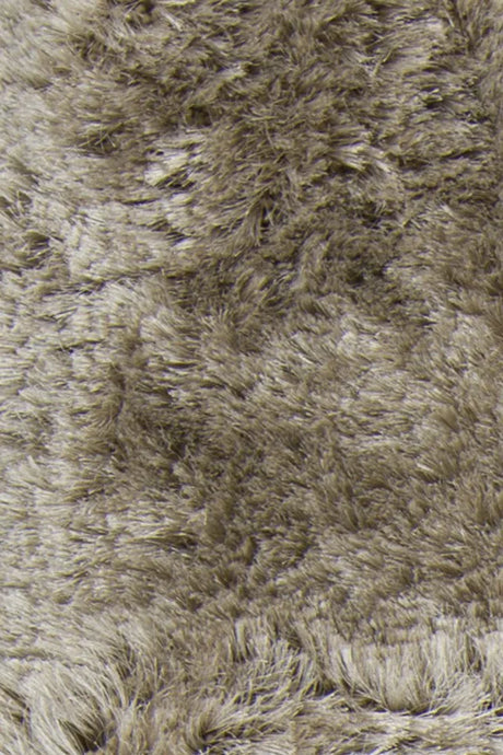 Chandra Giulia GIU-27805 Tan rug, texture close-up