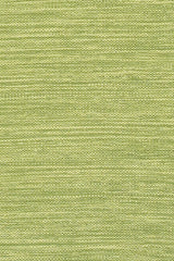 Chandra India IND-6 Green rug, texture close-up