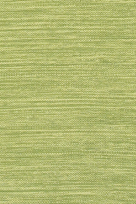 Chandra India IND-6 Green rug, texture close-up