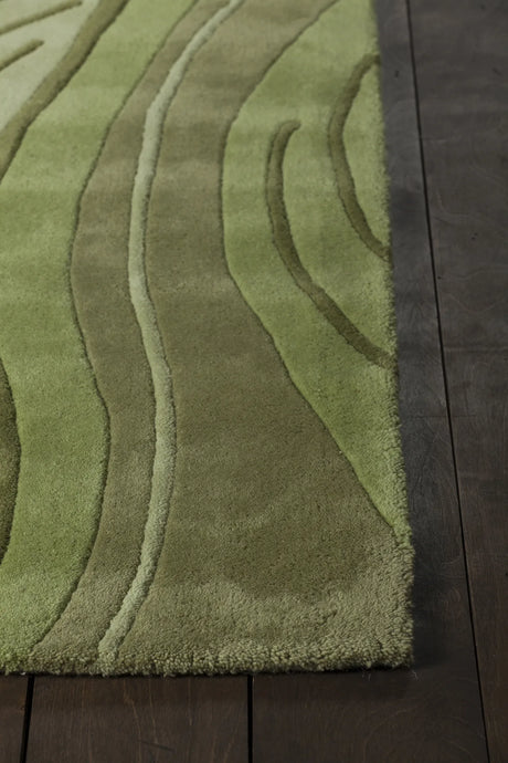 Chandra Inhabit INH-21617 Green rug, corner detail