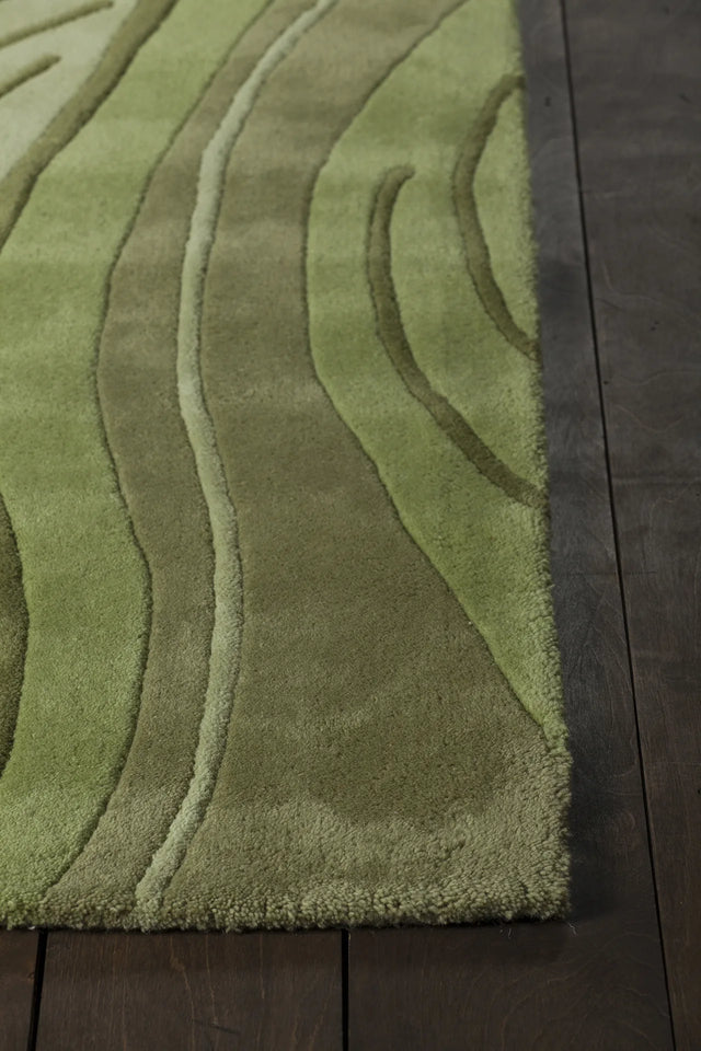 Chandra Inhabit INH-21617 Green rug, corner detail
