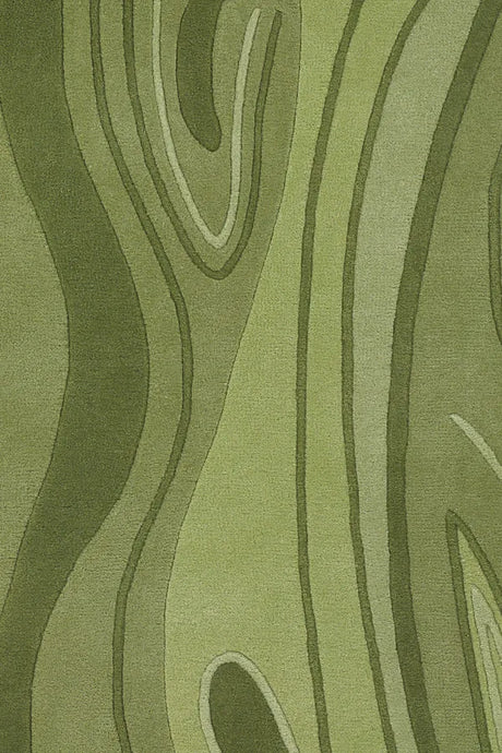 Chandra Inhabit INH-21617 Green rug, texture close-up