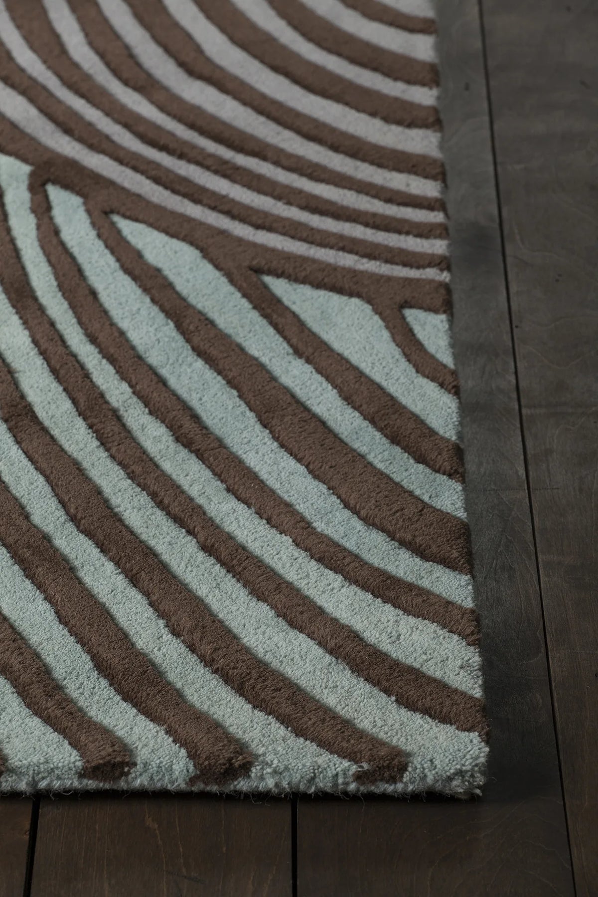 Chandra Inhabit INH-21622 Brown and Blue rug, corner detail