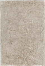 Chandra Joni JON-39301 Tan rug, flat view