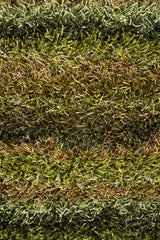 Chandra Kubu KUB-16501 Green and Brown rug, texture close-up