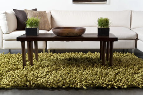 Chandra Montaro MON-20402 Green rug, shown in a styled room setting