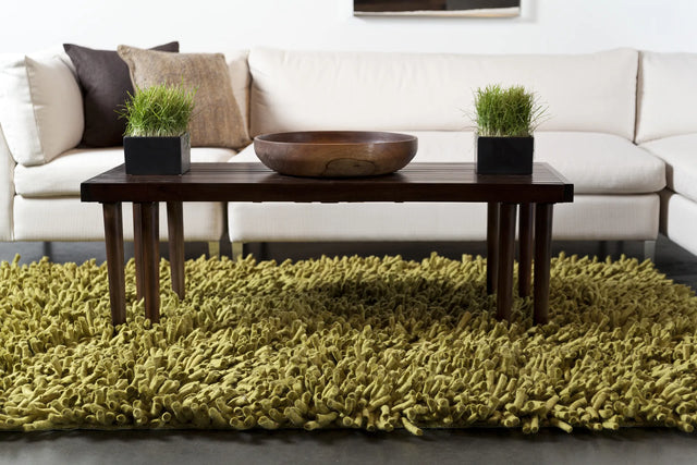 Chandra Montaro MON-20402 Green rug, shown in a styled room setting