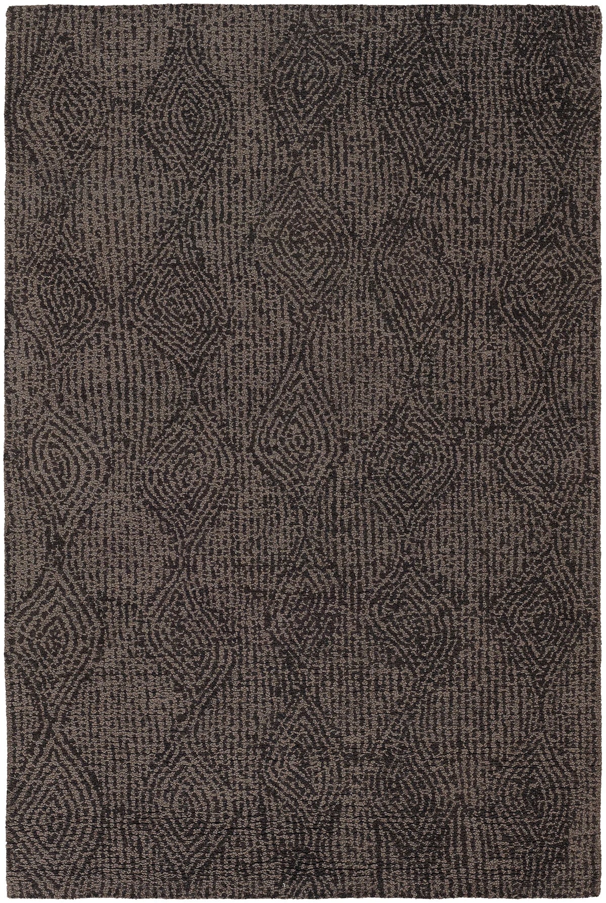 Chandra Navyan NAV-5004 Taupe and Brown rug, flat view