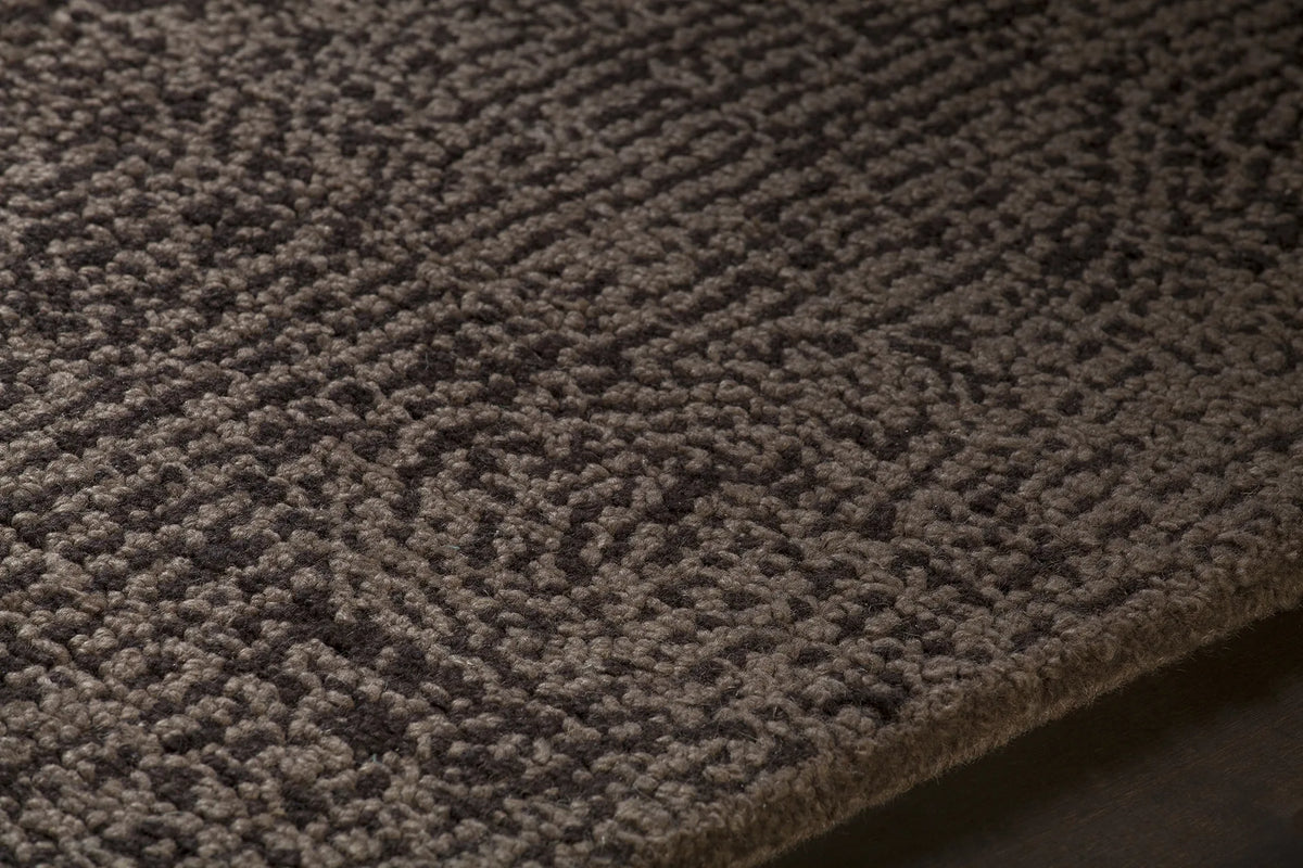 Chandra Navyan NAV-5004 Taupe and Brown rug, side detail view