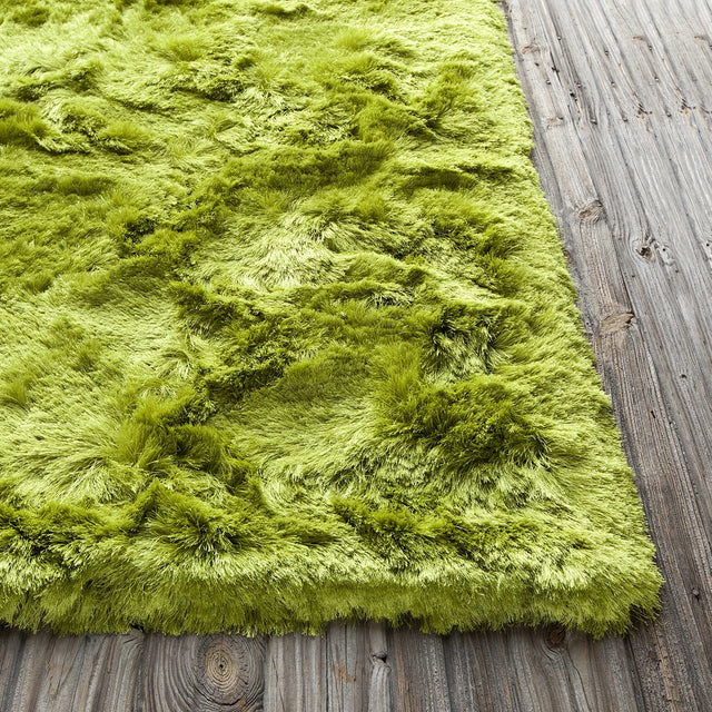 Chandra Naya NAY-18800 Green rug, corner detail