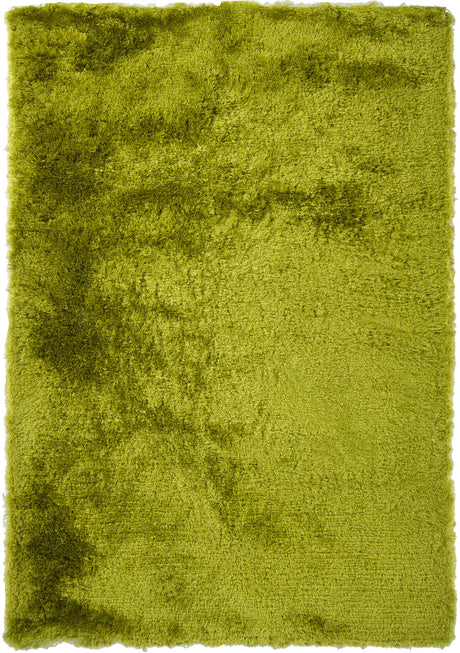 Chandra Naya NAY-18800 Green rug, flat view