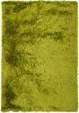 Chandra Naya NAY-18800 Green rug, flat view