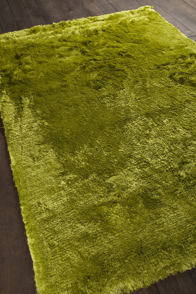 Chandra Naya NAY-18800 Green rug, angled side view