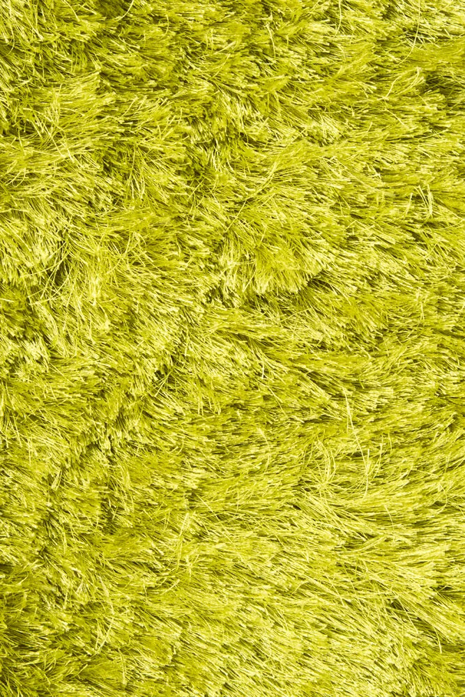 Chandra Naya NAY-18800 Green rug, texture close-up