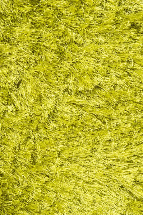 Chandra Naya NAY-18800 Green rug, texture close-up