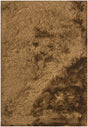 Chandra Naya NAY-18803 Brown and Beige rug, flat view